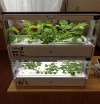 s2015.6.30 1.jpg